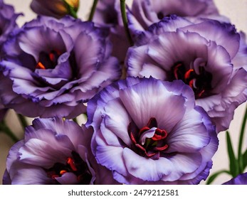 19073期开奖号码最新公布,快来看看你中奖了吗? 19073期开奖号码最新公布,快来看看你中奖了吗?