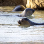 19088期胜负彩开奖结果最新揭晓 88t1t7ql2i