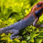 3D开奖22期震撼揭晓,幸运号码即将公布 9zczq