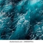 19050期开奖结果公布,大奖花落谁家引关注 a9h2ff