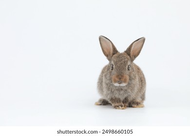 19074期福彩开奖结果查询与最新号码公布 19074期福彩开奖结果查询与最新号码公布