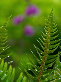 19083期足彩开奖结果揭晓:大奖花落谁家? 19083期足彩开奖结果揭晓:大奖花落谁家?