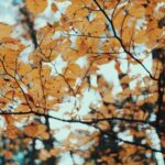 19072期体育彩票开奖结果查询与最新号码公布 iig8x