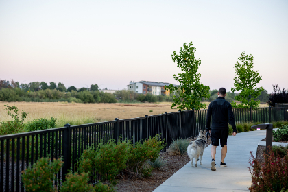 19056期大乐透开奖结果揭晓，幸运号码震撼公布