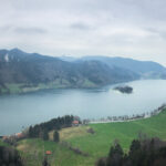 3d开奖243期开奖结果最新公布与详细分析 jmcm92b7