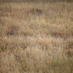 19051期开奖号码已公布,快来看看你中奖了吗? lzpqqn46