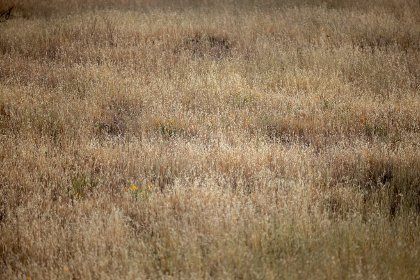 19051期开奖号码已公布，快来看看你中奖了吗？