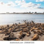 19052期体育彩票开奖结果最新公布 shla5