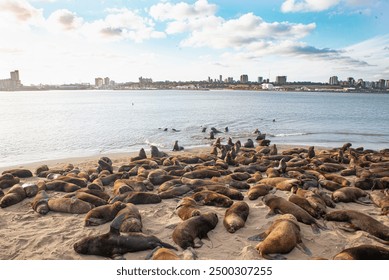 19052期体育彩票开奖结果最新公布