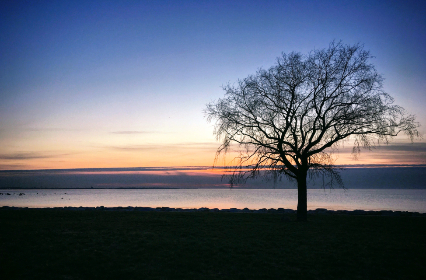 3D开奖204期最新结果公布,大奖花落谁家? 3D开奖204期最新结果公布,大奖花落谁家?