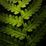 19072期开奖结果震撼揭晓,大奖花落谁家? xzk2rxrhu